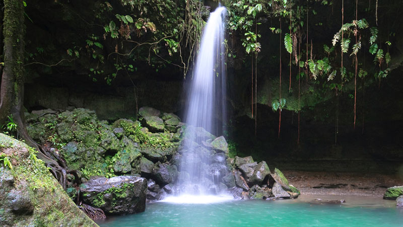 Kappsegling med Royal Clipper och Dominica