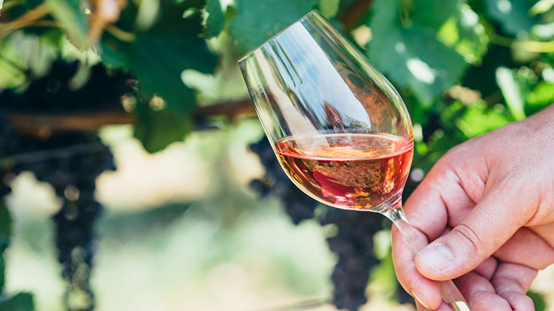 Ving�rdsbes�k och ombordstigning p� Star Flyer